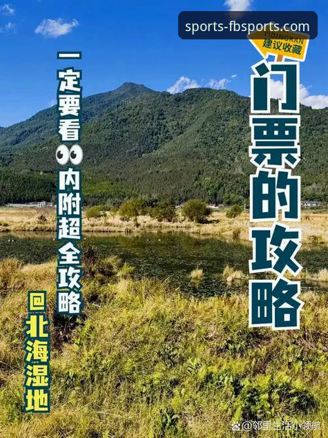 FB体育官方网站靠谱吗使用指南 FB体育平台全方位使用评测:从登录到畅玩,这份指南带你避坑